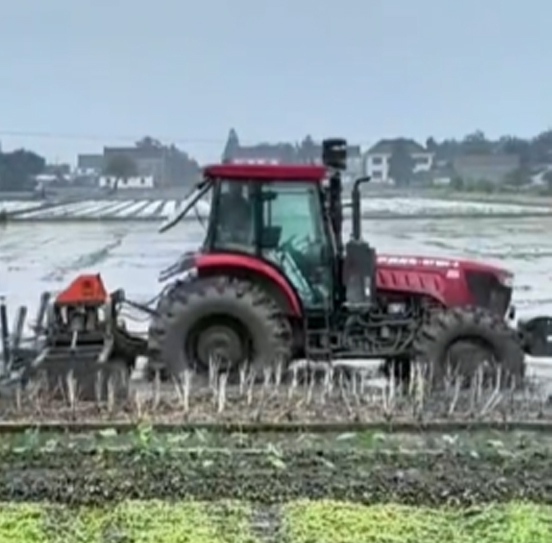您負責統(tǒng)籌全局，它負責腳踏實地